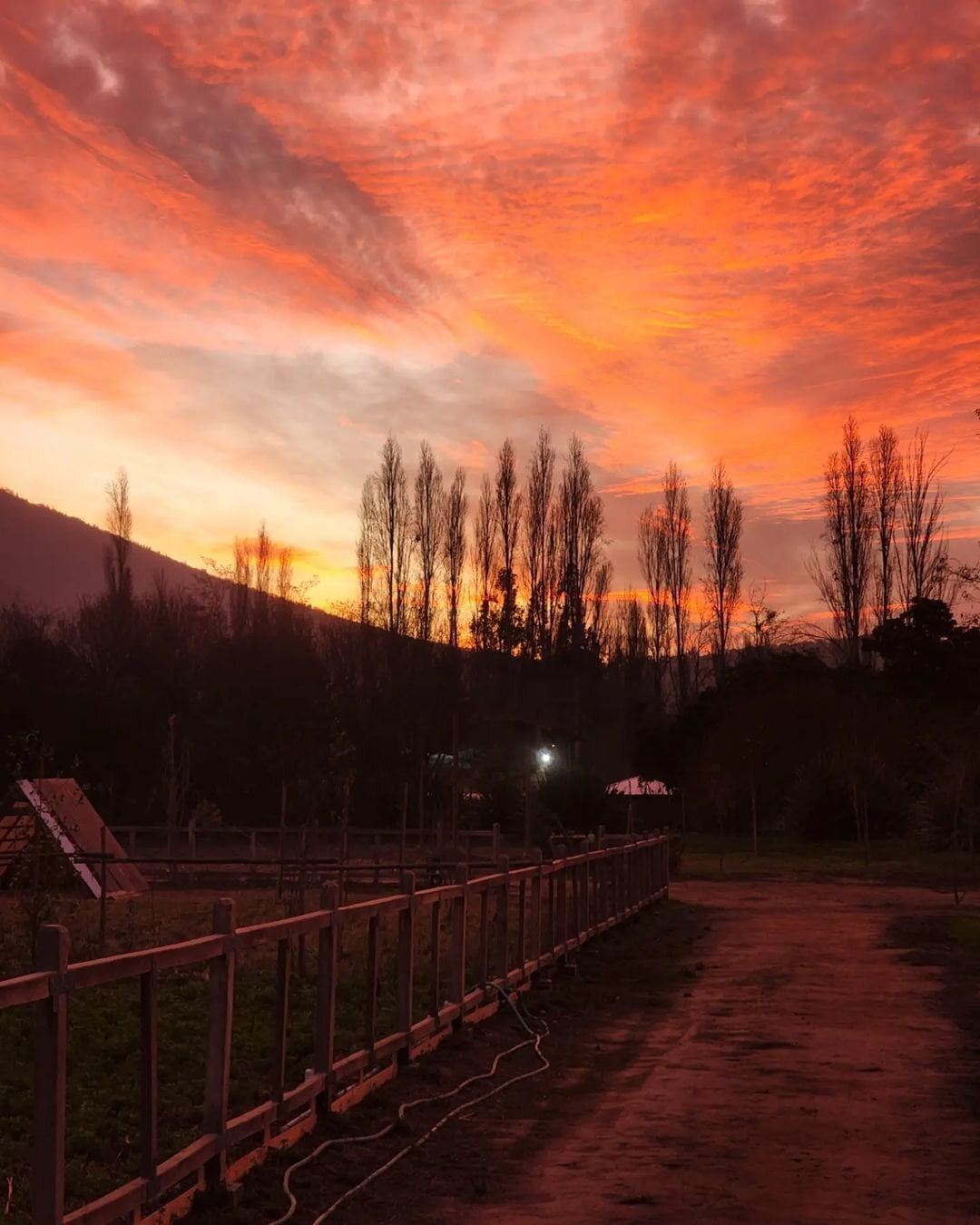 Isla de Maipo